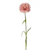 Nellik Rosa H44