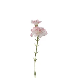 Nellik Rosa H31