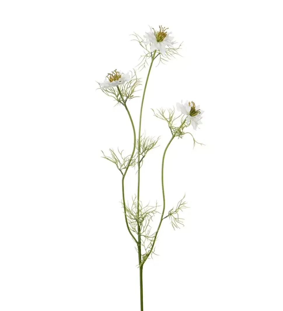 Nigella H63