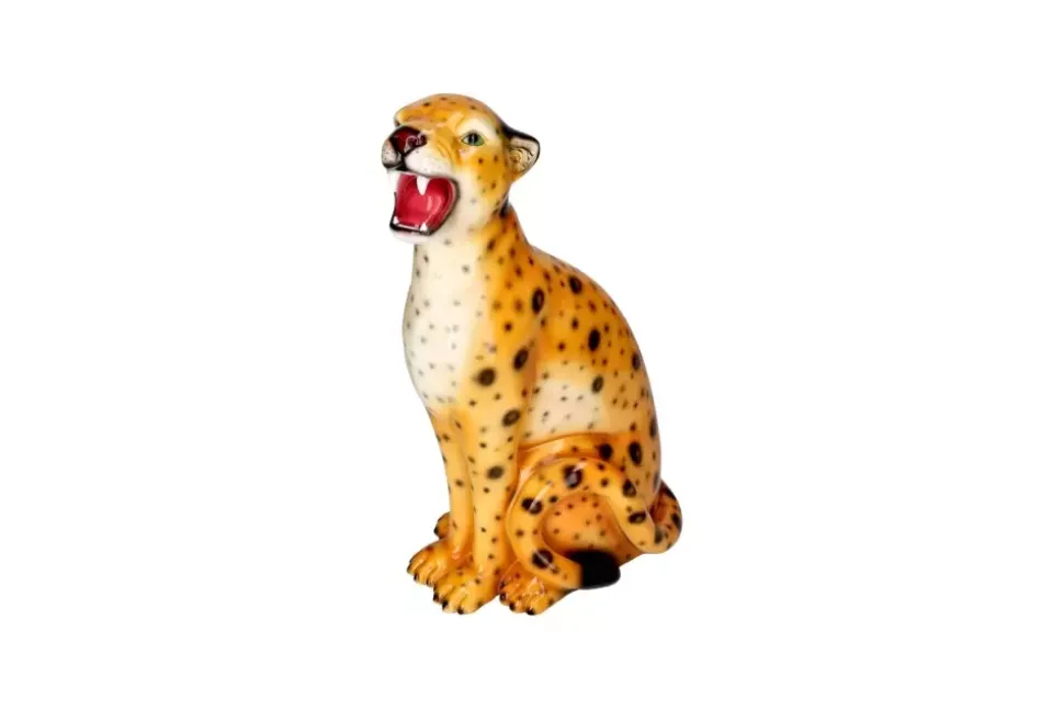 Oransj Leopard H34