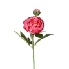 Peon Rosa H58