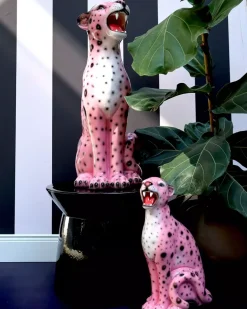 Rosa Leopard H51