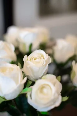 Rose Grønn 50cm