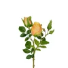 Rose H40 Oransje