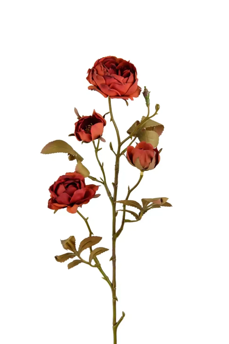 Rosekvist H60