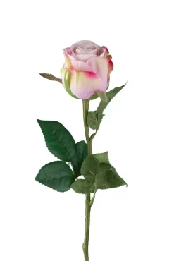 Rose Lys Lilla 50cm
