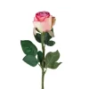 Rose Pink H50