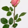 Rose Rosa H50cm