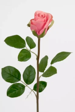 Rose Rosa H50cm