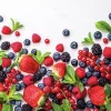 Serviett Forest Fruit