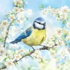Serviett Lunsj Blossom Time
