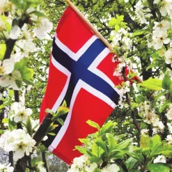 Serviett Lunsj Flagg
