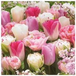 Serviett Pink Tulips