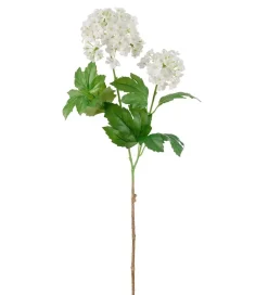 Snøbær Hvit H60