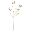 Stemorsblomst Grønn H63