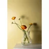 Stiernholm - Classic Twist - Vase