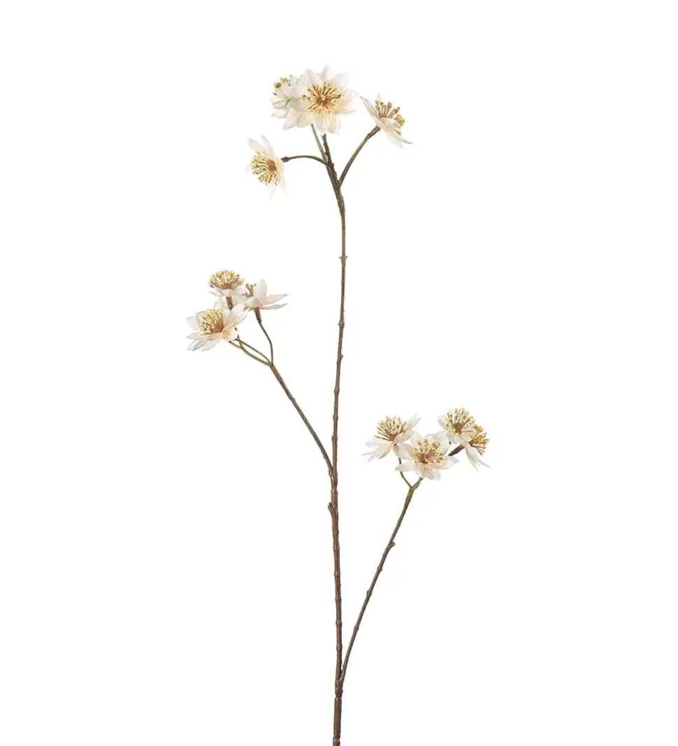 Stjerneskjerm Krem H72