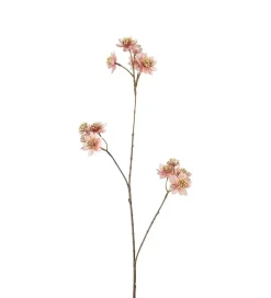 Stjerneskjerm Rosa H72