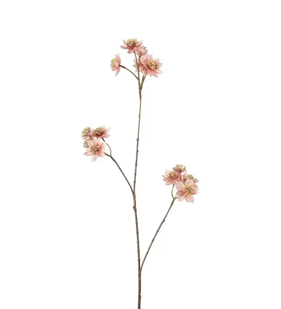 Stjerneskjerm Rosa H72