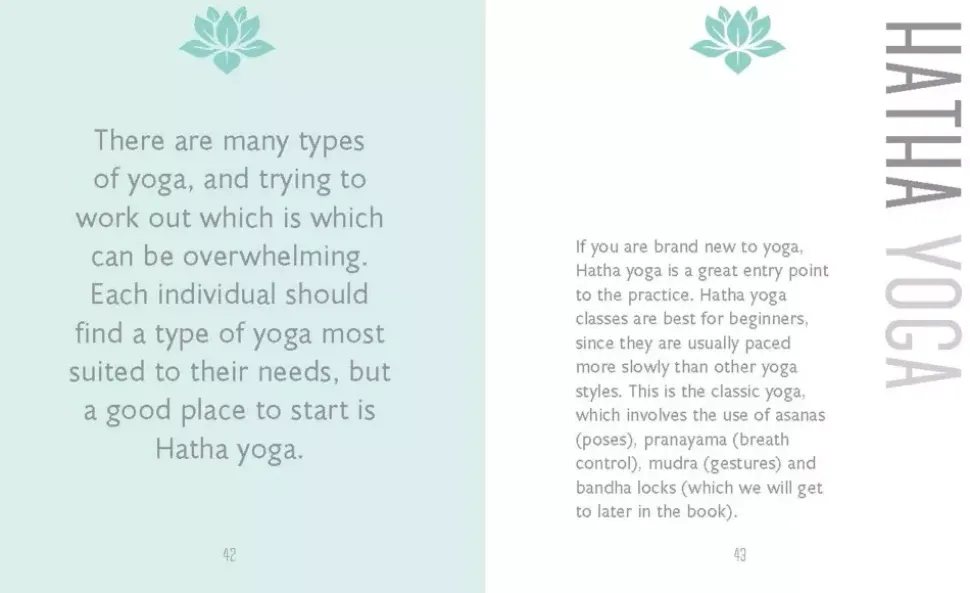 The Little Book of Yoga
