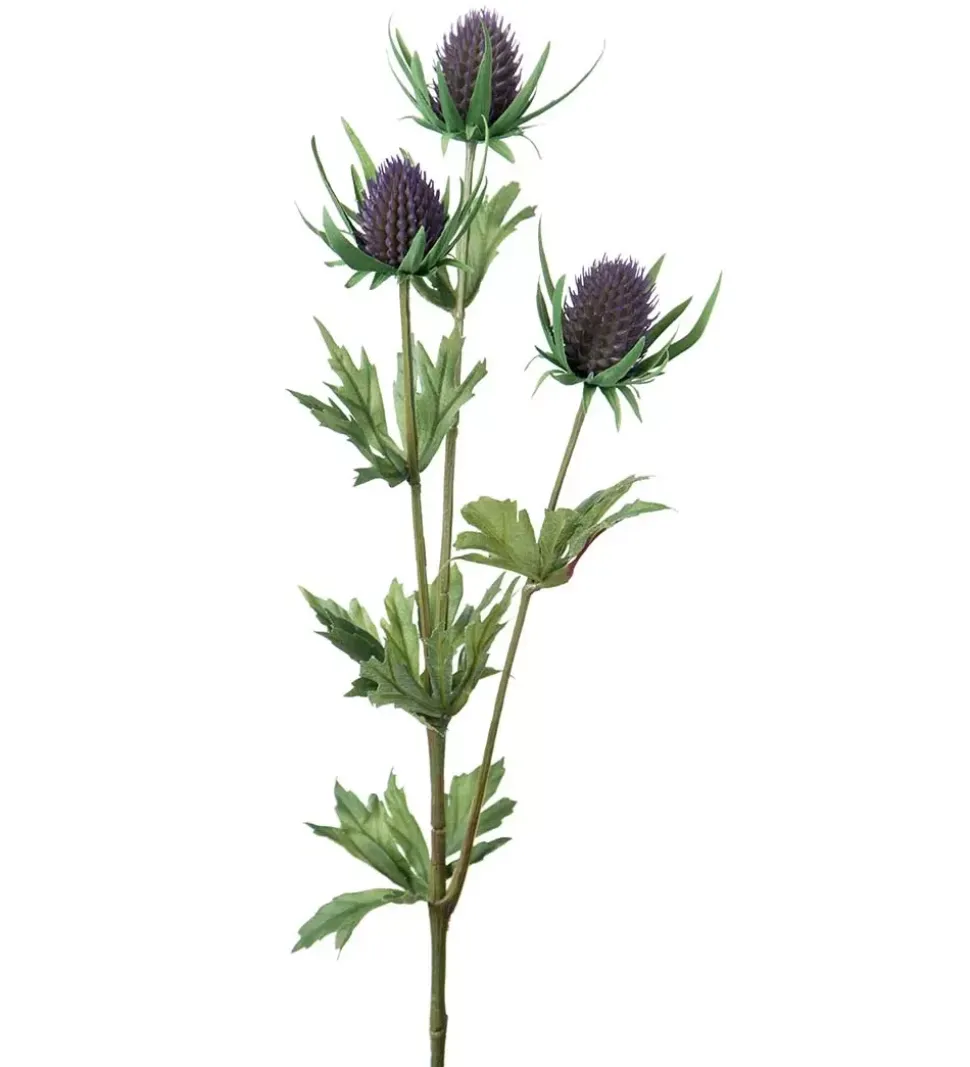 Tistel H60 Lilla