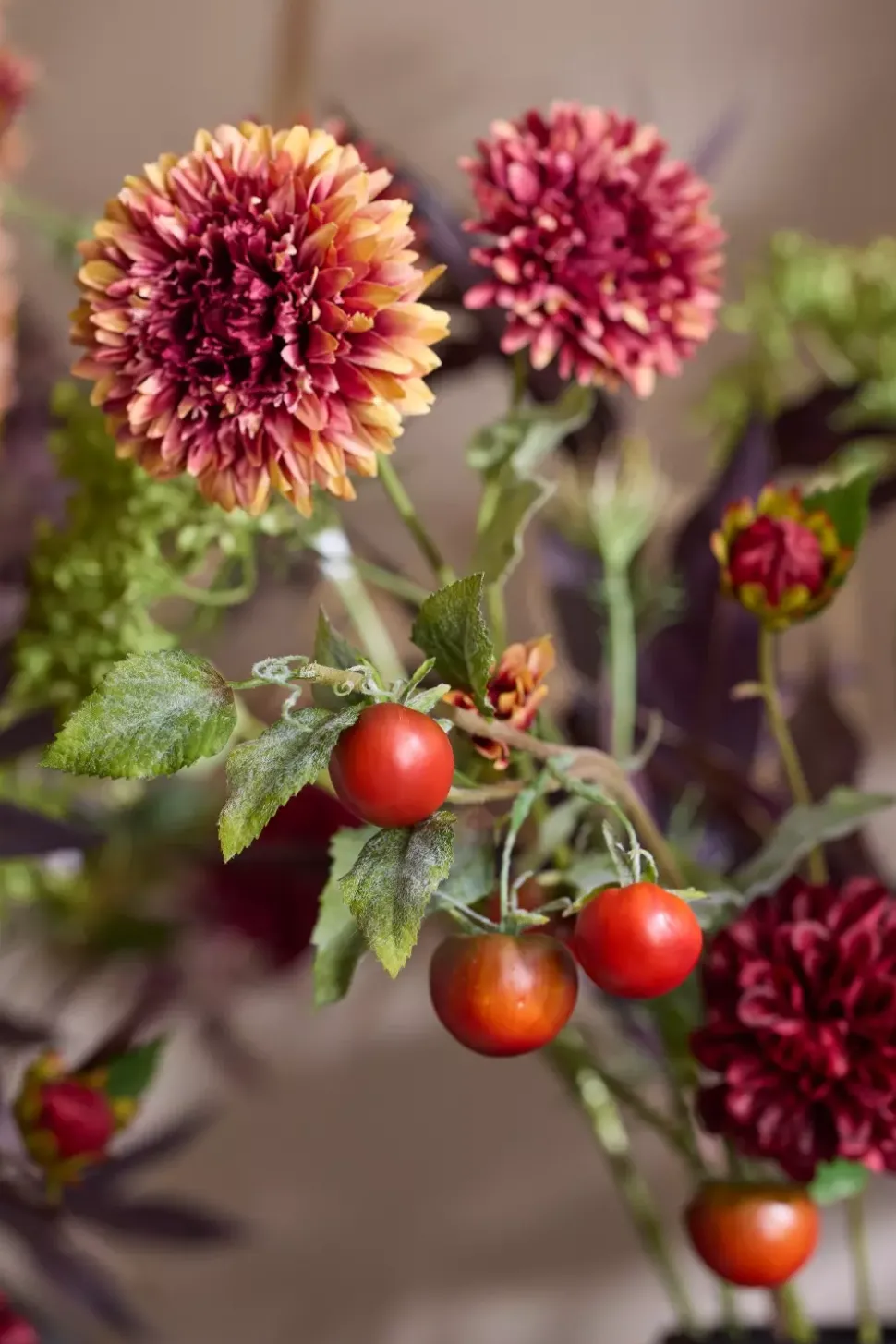 Tomatkvist H75