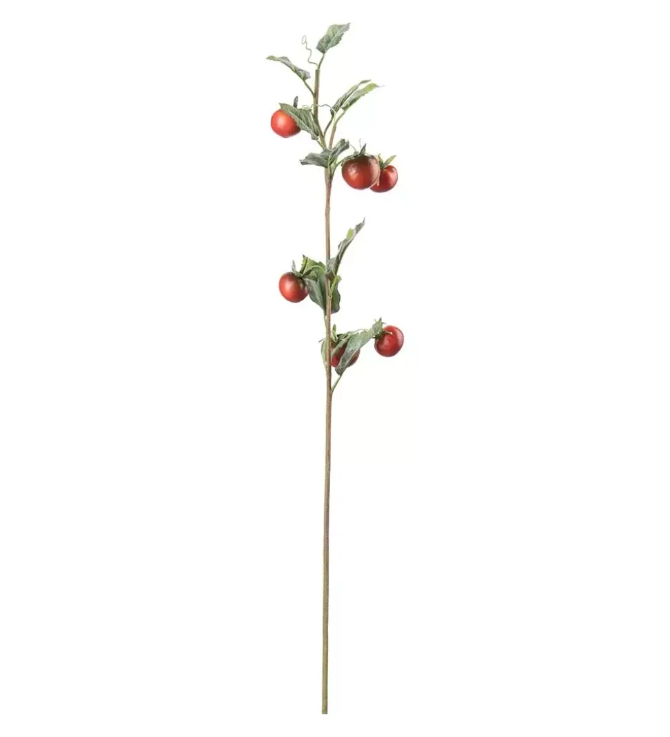 Tomatkvist H75