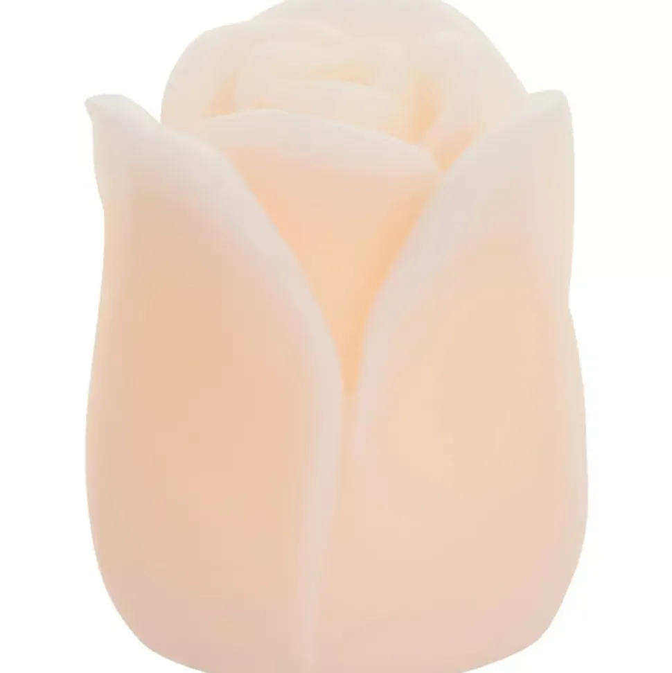 Tulipa Ledlys H7,5 Rosa