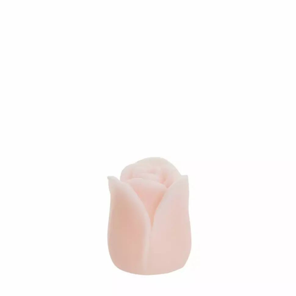 Tulipa Ledlys H7,5 Rosa
