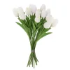 Tulipanbukett Hvit (16stk)