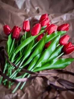 Tulipanbukett Rød (16stk)