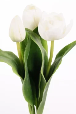 Tulipan Hvit H36 (1 stk)