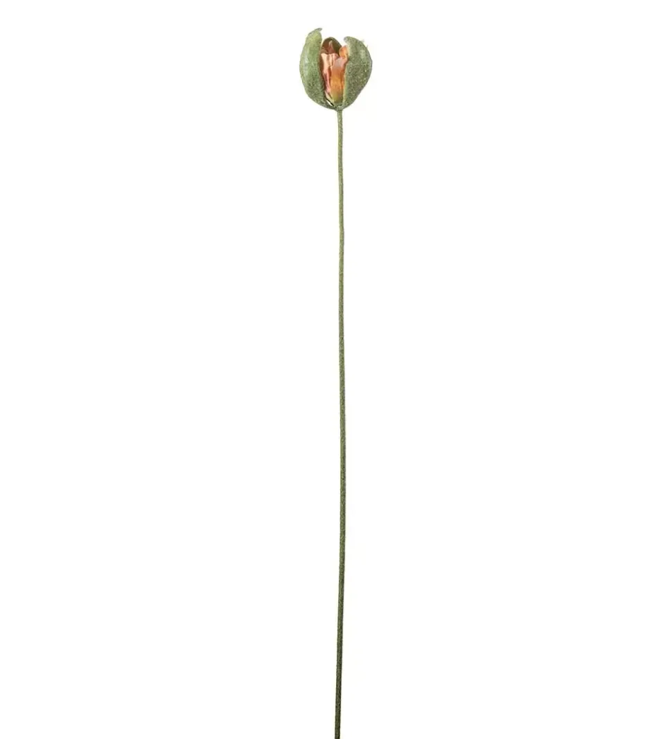 Valmueknopp Oransj H78
