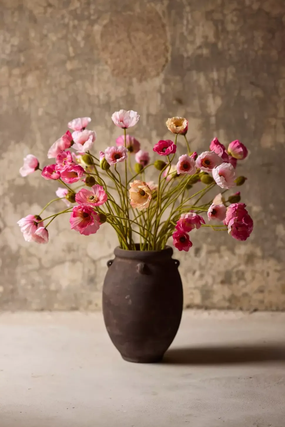 Valmue Lys Rosa H75