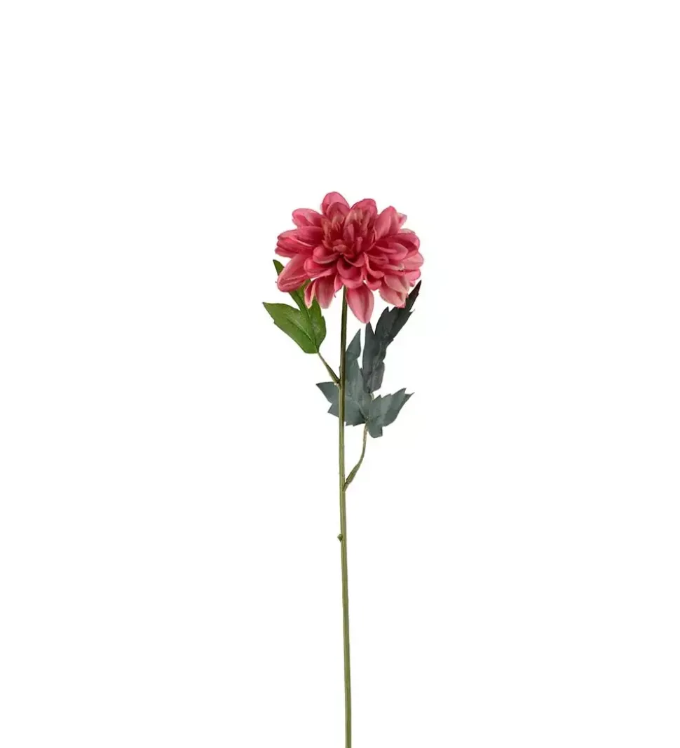 Zinnia Rosa H45cm