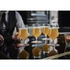 Zwiesel - Beer Basic Craft - Lager Ølglass 4-pk - 30 cl
